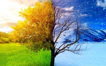 Image of summer and winter